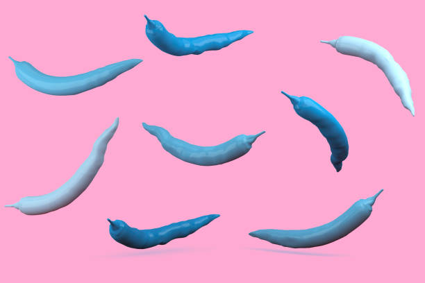 istock Creative Concept : Blues peppers floating on pinks pastel background. used for Illustrations or graphic design and website. minimal concept. 905445864