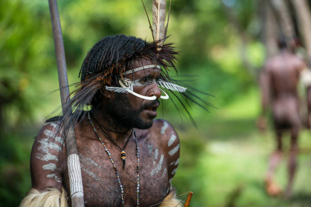 Man of the Dani tribe in traditional clothing, West-Papua Baliem-Valley, New Guinea, Indonesia - August 22, 2017: Young man of the Dani  people (also spelled as Ndani). He is traditionally dressed and is holding a bow in his hand. The Dani inhabit the Baliem Valley in the central highlands of West Papua (the Indonesian part of New Guinea). dani stock pictures, royalty-free photos & images