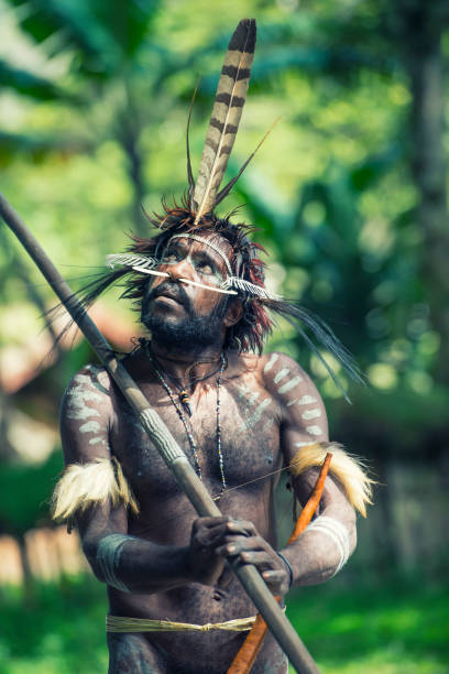 homme de la tribu dani en costume traditionnel, de papouasie-occidentale - dani photos et images de collection