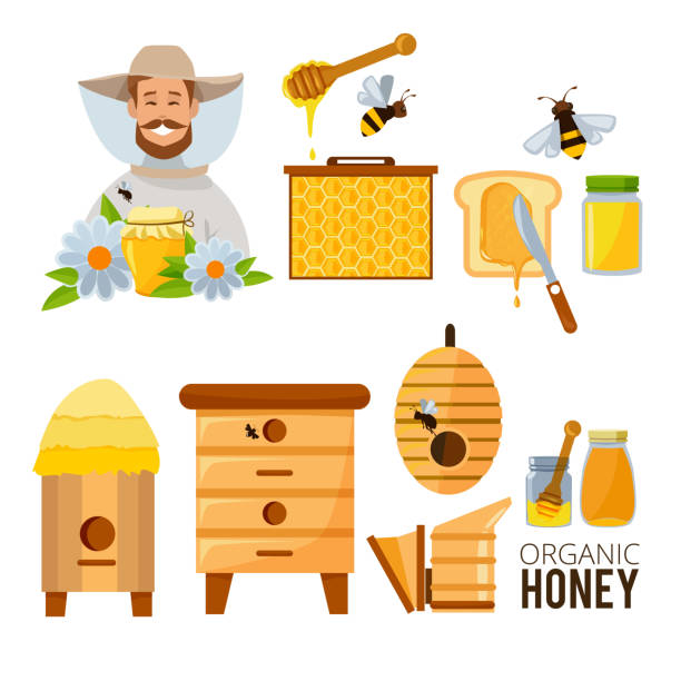 Cartoon Illustrations Set Of Beekeeper Beehive And Bees Stock Illustration  - Download Image Now - iStock