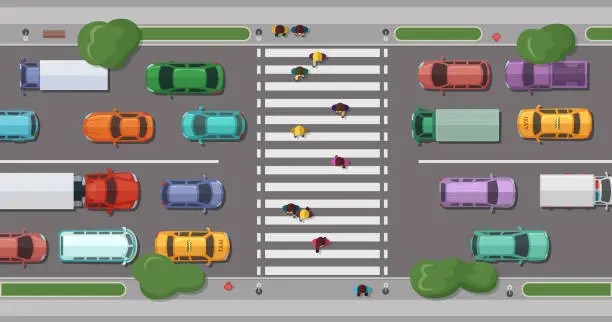 Vector illustration of Vector road with cars in front of pedestrian zone with walking people