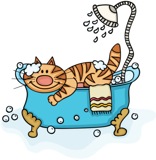 91 Wet Cat Clip Art Illustrations & Clip Art - iStock