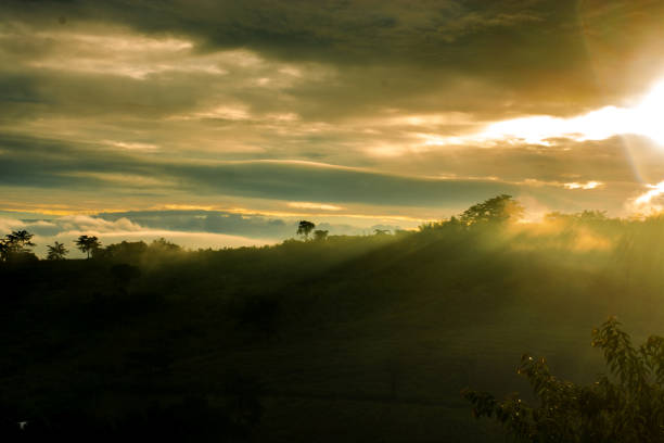 istock Morning sunshine in the beautiful and charming winter. 905453464