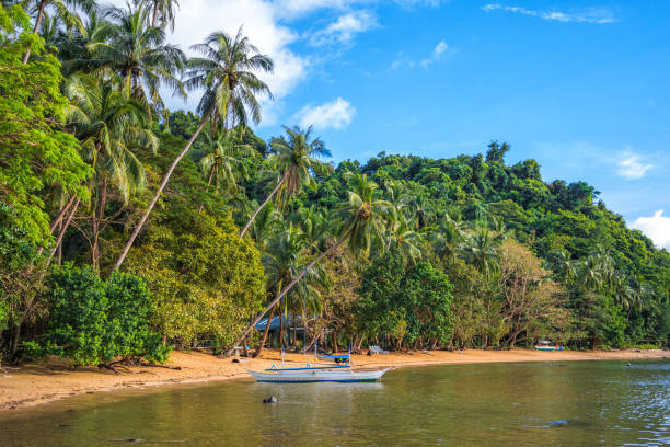 istock Lonely beach on El Nido, Philippines 905457892