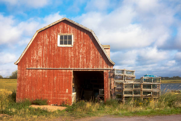 istock Old lobster barn on Prince Edward Island 905460570