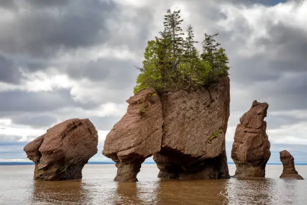 Photo of Flowerpot rocks of Hopewell, New Brunswick