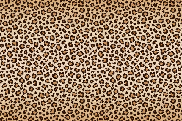illustrations, cliparts, dessins animés et icônes de beige de texture, brun léopard avec bordure plus foncé. vector - panthère