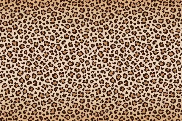Vector illustration of Leopard texture, brown beige with darker border. Vector