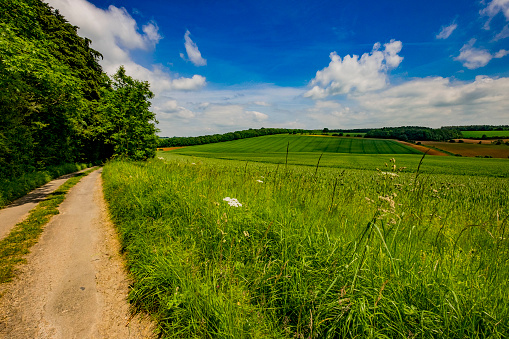 path road lane dirt road rural countryside scenic landscape warwickshire english midlands england uk