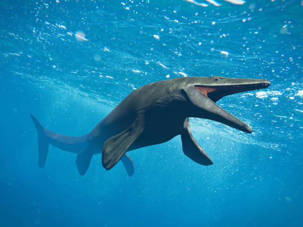 istock Mosasaurus, huge ocean lizard, extinct Mosasaur between 70 and 66 million years ago (3d illustration) 905468638