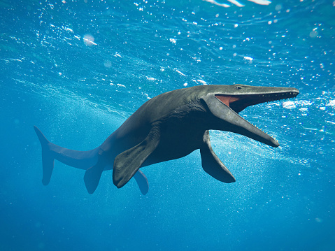 giant extinct ocean creature