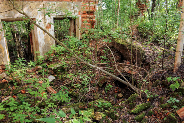 istock Ruins of old walls. 905471988