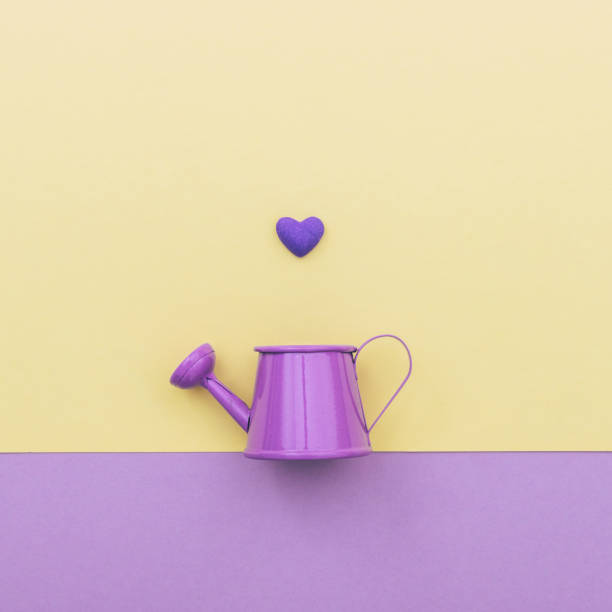 istock can for flowers and one heart 905472532