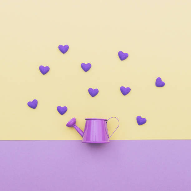 istock purple watering can for flowers 905472534