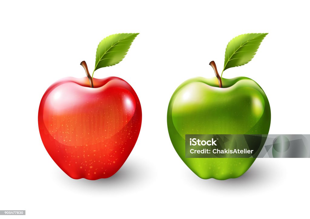 Manzana roja y manzana verde, fruta aislado, ilustración vectorial - arte vectorial de Manzana libre de derechos