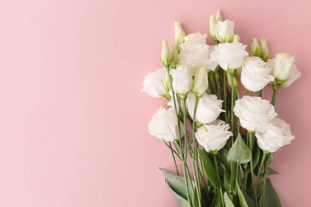 istock From above bunch of white roses placed on pink background. 905492832