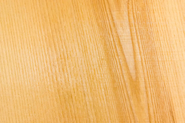 istock Background of the surface of the ash-tree plank 905494080