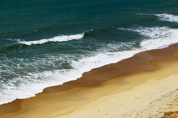 istock Waves and beach in Brazil seen from above 905496702