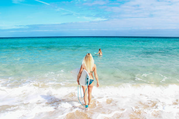 surfer girls going to the sea - surfboard fin imagens e fotografias de stock