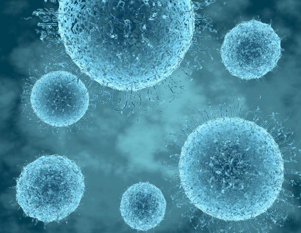 istock Blue viruses, viral disease cells abstract 3d illustration. 905497568