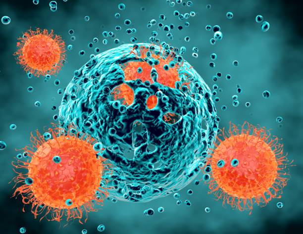 istock Virus cell attacking and destroying human cell abstract 3d illustration. 905497602