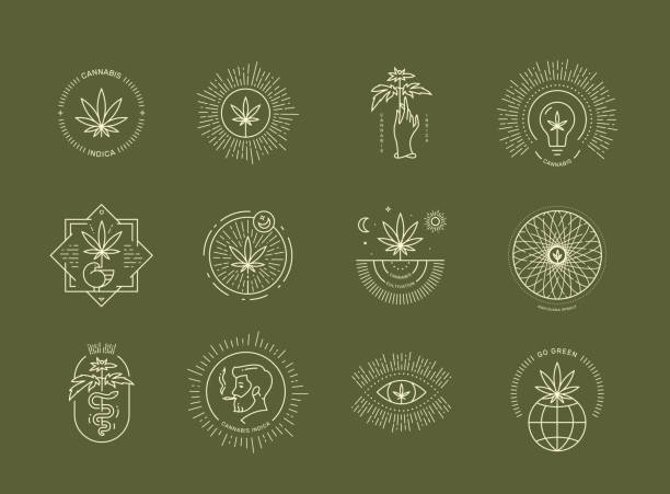 emblemat konopi ustawiony na zielonym tle - narcotic medicine symbol marijuana stock illustrations