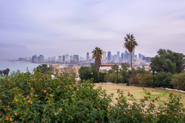 istock Tel Aviv  Jaffa Abrasha Park  Israel 905519634