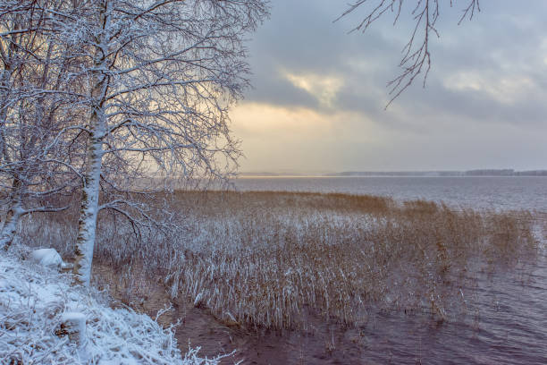 Baltic sea Vidzeme stony seashore