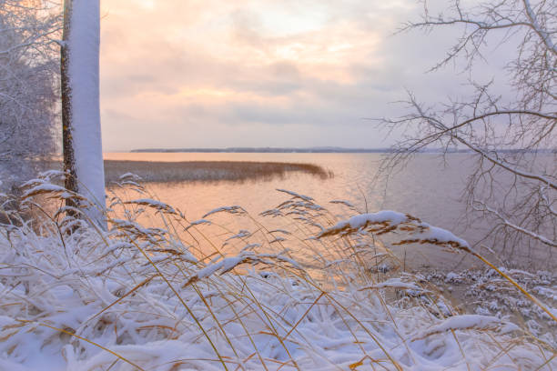 istock winter landscape from Sotkamo, Finland. 905520032