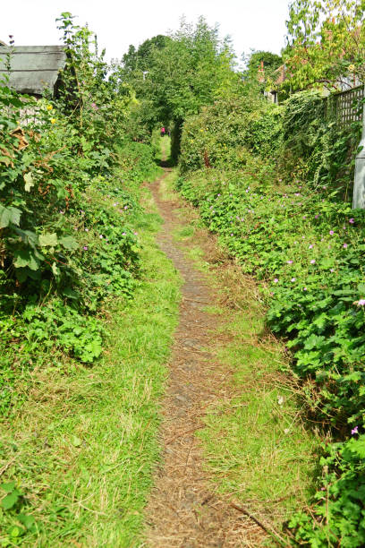 istock Partly overgrown urban footpath 905523368