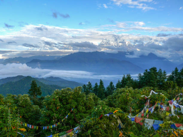 istock Himalaya from Poon Hill, Nepal 905526794