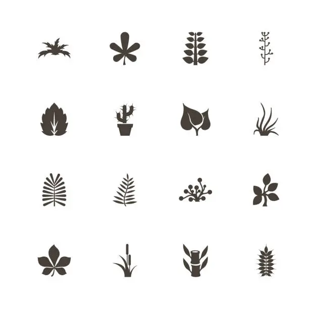 Vector illustration of Plants - Flat Vector Icons