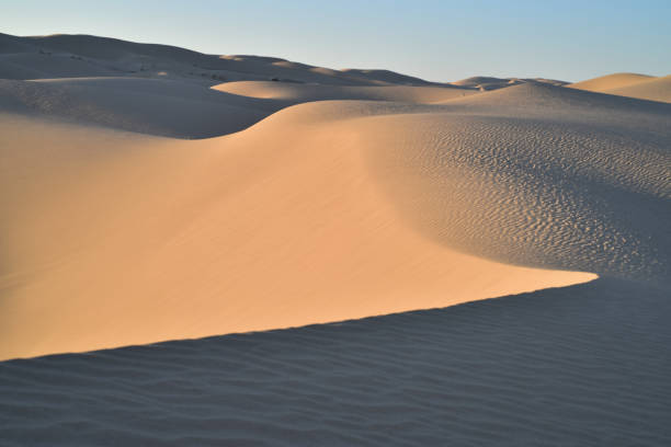 istock sand dunes desert landscape Imperial Sand Dunes 905535786