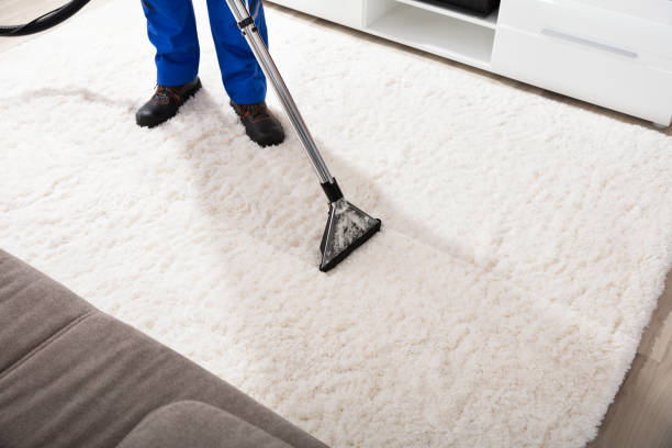 istock Janitor Cleaning Carpet With Vacuum Cleaner 905536846