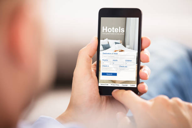 istock Person Searching Online Low Prices Hotels 905536984