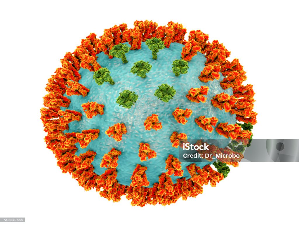 Influenza virus H3M2 strain Influenza virus H3M2 strain. 3D illustration showing surface glycoprotein spikes hemagglutinin (orange) and neuraminidase (green) Avian Flu Virus Stock Photo