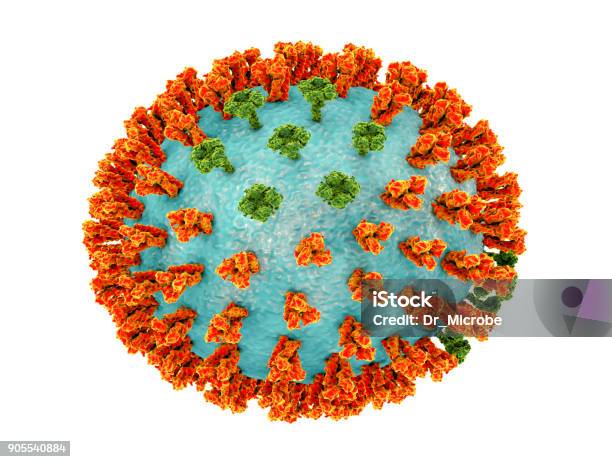Influenza Virus H3m2 Strain Stock Photo - Download Image Now - Avian Flu Virus, Bacterium, Biology