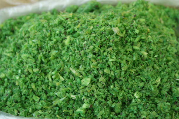 istock Spices, herbs and seasonings 905543850