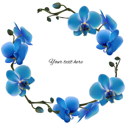 Blue orchids. Tropical flowers. Exotic plants. Frame. Border. Vector illustration.