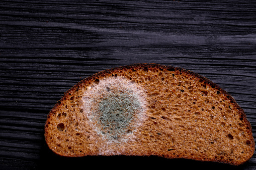 A spot of green mold on a piece of dark bread. Black background