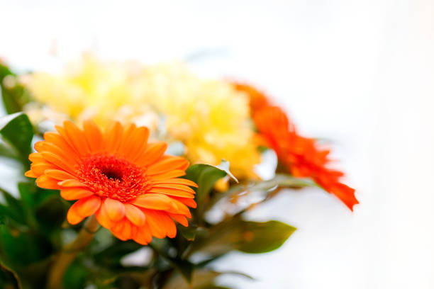 istock Bouquet of flowers. 905563232