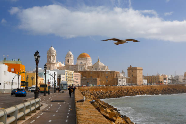The New Cathedral and waterfront at Cadiz, Spain Cadiz, Spain - January 10, 2018: Seagull crossing Campo del Sur Avenue. Only a few people and vehicles on the avenue. The New Cathedral in the background. Picture taken with 	polarising filter. cádiz stock pictures, royalty-free photos & images