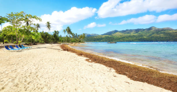 istock Vacation in Dominican Republic 905567416