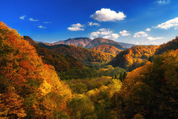 montaña del colorido otoño en tohoku, japón - región de tohoku fotografías e imágenes de stock