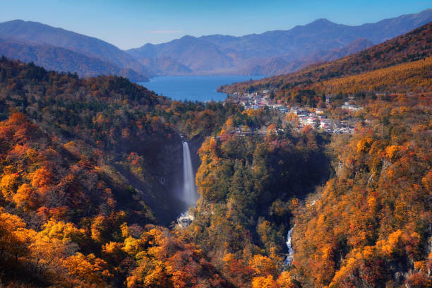 Landscape scene of Kegon waterfall with autumn season with the Chuzenji lake at Nikko, Japan. travel and sightseeing concept nikko, japón, otoño, fondo, parque, nacional, arce, agua, viaje, rojo, temporada, hermoso, japonés, hojas, paisaje, asia, caída, destino, naturaleza, amarillo, vista, bosque, asiático, río, famoso, jardín, color, naranja, turismo, ambiente, temporada