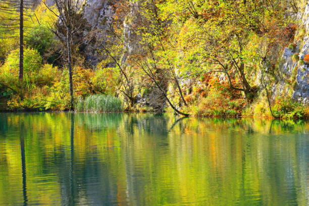 istock Plitvice lakes, National park in Croatia 905569942