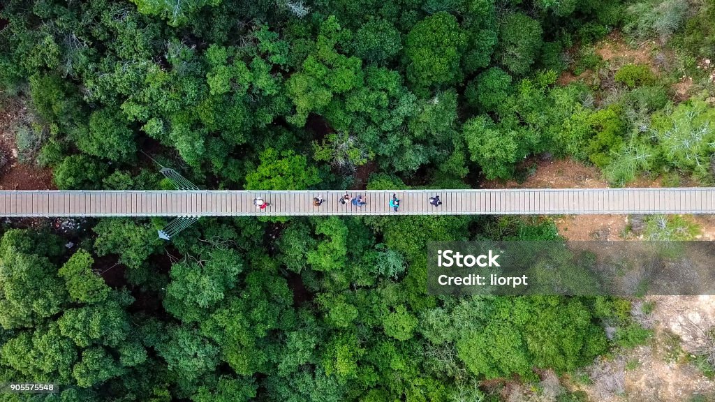 Suspension bridge surrounded green forest Suspension bridge surrounded by lush green forest - Aerial view Aerial View Stock Photo