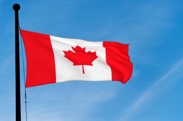 istock Canadian Flag waving over blue sky (digitally generated image) 905575878