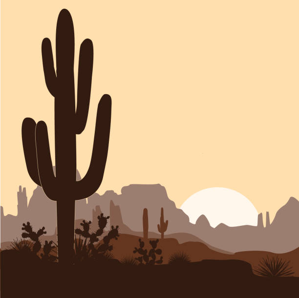 saguaro 선인장, 선인장, 산에서 agaves와 아침 풍경입니다. 벡터 일러스트입니다. 귀여운 갈색 팔레트 - mountain mountain range rocky mountains silhouette stock illustrations