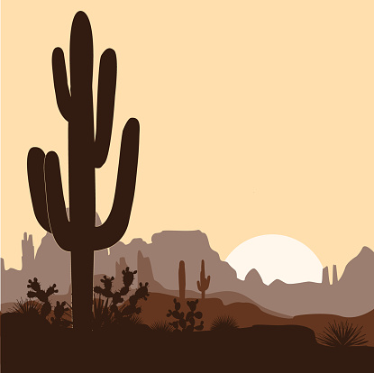 Morning landscape with saguaro cacti, prickly pear, and agaves in mountains. Vector illustration. Cute brown palette, place for text